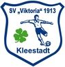 SV Viktoria Kleestadt Fussball